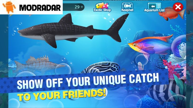 Outstanding Features Included in Fish Island APK