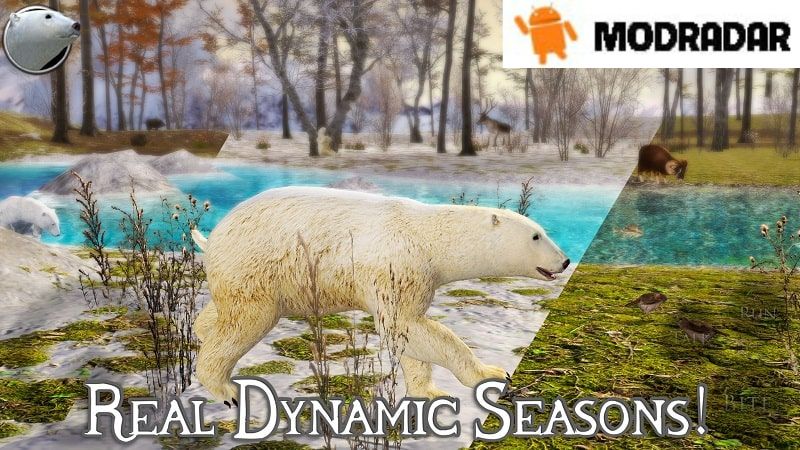 Polar Bear Simulator 2 mod