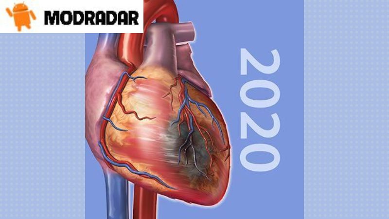 Pelajari tentang aplikasi Physiology & Pathology Mod