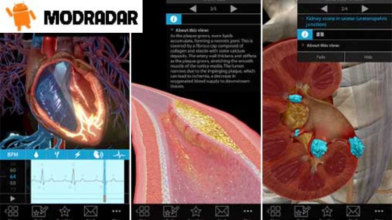 Fitur luar biasa termasuk dalam Physiology & Pathology Mod