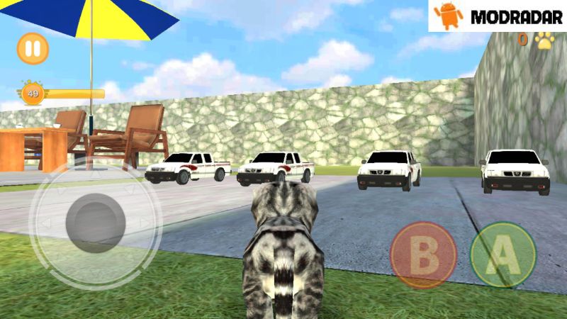 Area dalam game Kitten Cat Simulator Mod