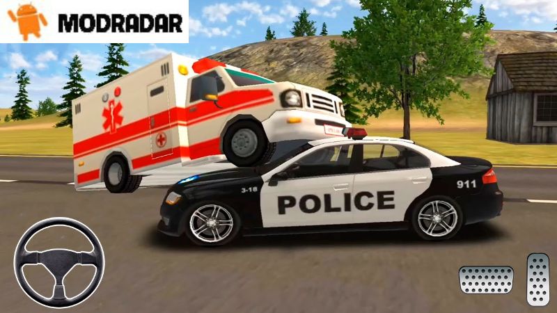 Police Car Chase Mod Apk