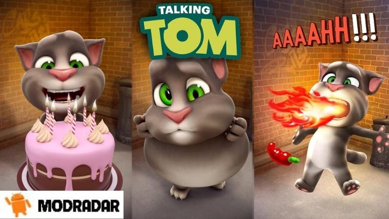 Khả năng ẩm thực tuyệt vời trong tựa game Talking Tom Cat Mod