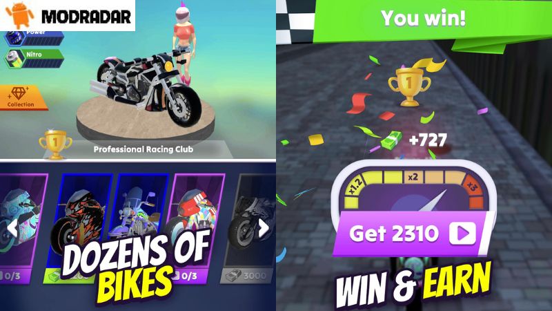 Wild Wheels: Bike Racing mod