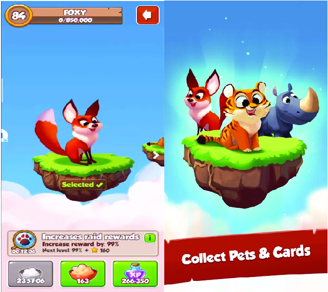 train your pets in coin master