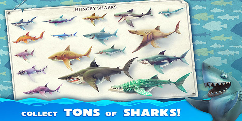 Collectez différentes espèces de requins